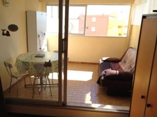 Studio 4 pers avec parking à 400m commerces, front de mer - FR-1-81-338 - Port Leucate - 6