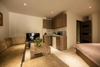 One room house in City Center - Erevan - 0