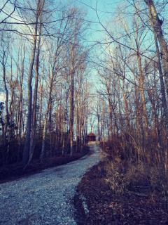 Two Rivers Cabins - The Mountaintop - Brevard - 4