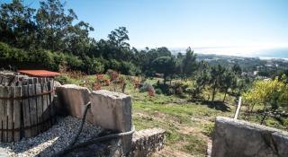 Casa na Floresta - Figueira da Foz - 4