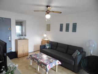 Appartement cosy à 200m de la plage avec parking privé et loggia, animaux admis - FR-1-326-668 - Marseillan - 1
