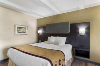 Best Western Plus Madison-Huntsville Hotel - Madison - 1