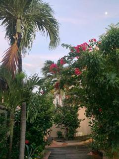 Joli studio entier avec jardin au calme - 2