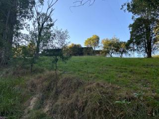Amble Lea NSW Country escape - Bandon Grove - 4