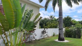 Tropical Gecko Studio - Sweet Jewel Apartments - Christ Church - 2