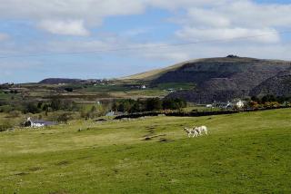 Bwthyn Llys Twrog - Moel-tryfan - 5