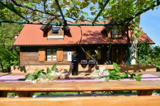 Family friendly house with a swimming pool Sveti Ivan Zelina, Prigorje - 20657 - 9