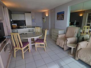 Appartement climatisé en front de mer à Sète avec piscine, garage et WIFI - FR-1-472A-203 - Sète - 7