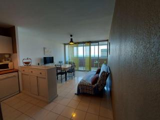 Appartement T2 4 pers - Grau d'Agde, Front de Mer - FR-1-423-201 - Le Grau-dʼAgde - 3