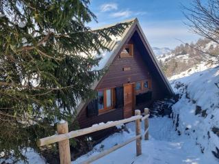 Chalet équipé 6 personnes avec cheminée et animaux admis - FR-1-393-159 - Saint-Michel-de-Chaillol - 1