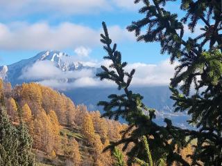 Chalet 5 personnes, proche ski et rando, balcon sud, TV, lave-linge - FR-1-393-165 - 3