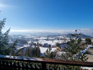 Chalet 5 personnes, proche ski et rando, balcon sud, TV, lave-linge - FR-1-393-165 - 2