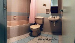 THE GREEN @SELESA HILLHOMES BUKIT TINGGI BENTONG - Bentong - 2