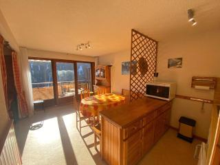 Appartement moderne 6 personnes avec balcon, garage à Châtel - FR-1-198-252 - Châtel - 9