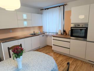 Kranjska gora balcony apartment - Kranjska Gora - 9
