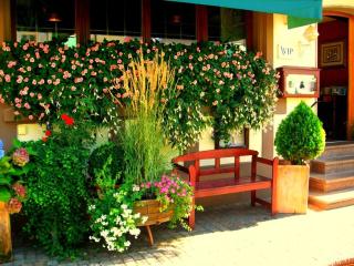 Hotel Restaurant Krone - Wolfach - 8