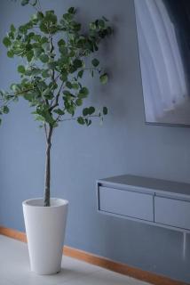 Large Family Seaview Suite 3 Rooms by The Only Bnb - Tanjong Tokong - 6