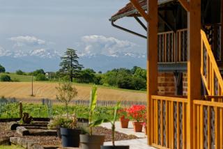 Le Cabanot - Peyrusse-Grande - 6