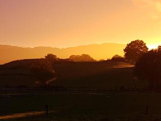 Ferme de la Luciole - 6