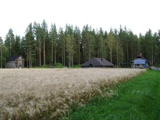 Maatilamatkailu Ilomäki - Peräseinäjoki - 8