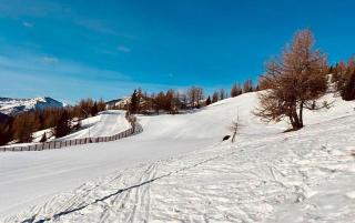 Large Family Holiday Home Siren Stays - Leoben - 9