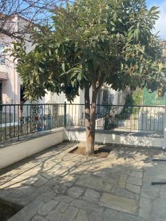 Small Garden Studio - Kavala - 3