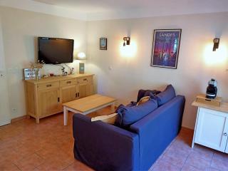 Maison au milieu des pins entre golf et plage - 7