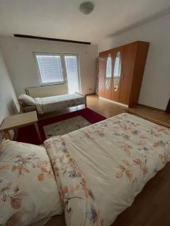 Apartment Rea Ilidža - Sarajevo - 3