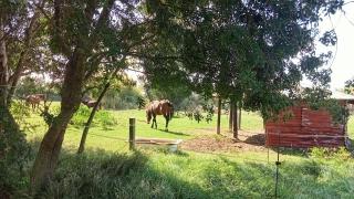 Piano Loft Turismo Rural Costa Brava-Vilanova de la Muga - Vilanova de la Muga - 1
