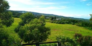 Le Tranquillou - La Plaine des Cafres - 7