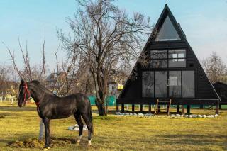 StayVista at The Loft - Pet Friendly Villa with A-Frame Structure, English Interiors, Bonfire - Srinagar - 9