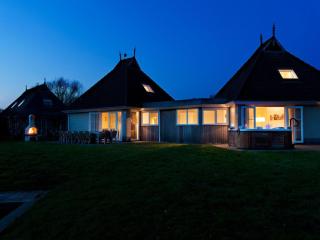 Holiday home with sauna and outdoor spa - Earnewâld - 3