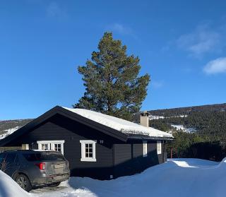 Uvdalhytta - close to cross country and downhill skiing - 7