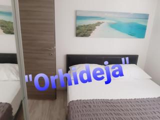 Apartment in Slatine with sea view, terrace, air conditioning, WiFi 5130-2 - Slatine - 1