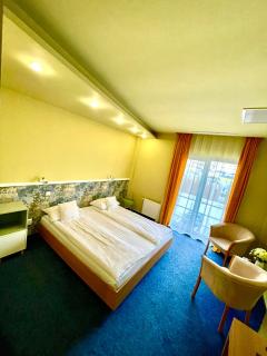 Hotel Torontal - Timişoara - 8