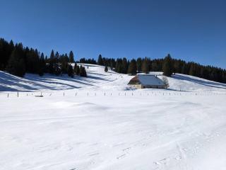 Ferme d'alpage La Bâtie Dessous - Mouthe - 7