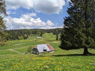 Ferme d'alpage La Bâtie Dessous - Mouthe - 5
