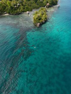 Araya Dive Resort Togean - Bomba - 5