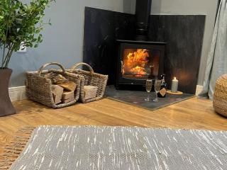 Luxury Lodge In The Treetops - Llanbrynmair - 4