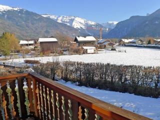 Charmant appartement 2 pièces mezzanine avec balcon, parking et casier à skis - FR-1-629-38 - Samoëns - 1