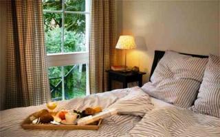 Louisenhof Ferienapartments und Wellness - Burg - 7