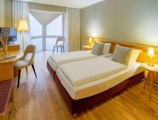 Hotel Kammweg - Grossbreitenbach - 9