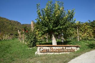 Agriturismo Casaborgomarche - Valdobbiadene - 9