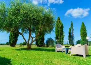 Appartamenti in Residence Villa Santa Maria - San Vincenzo - 3