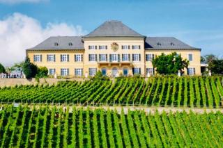 1.0 Relaxen am Kloster Johannisberg - Geisenheim - 1