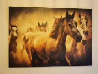 River view deluxe apartment - 5