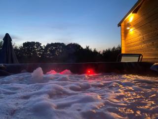 Silver Springs Farm Lodge - Dingestow - 8