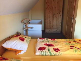 Ferienhaus Walther - Erbach - 1
