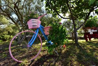 Countryside Studio Apartment Valentina - Vrh - 9