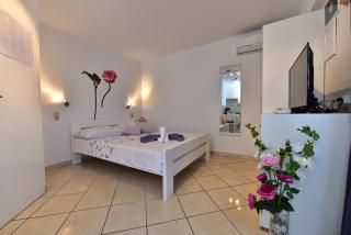 Countryside Studio Apartment Valentina - Vrh - 1